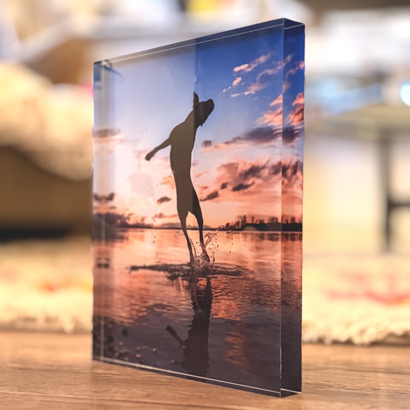 An acrylic block print of a dog leaping in water at sunset